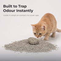 PURRIFIC Premium Cat Litter